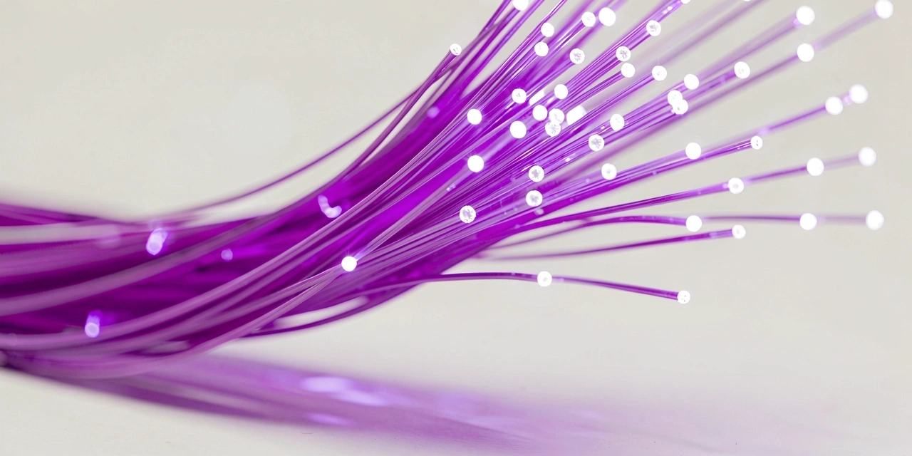 Model simulation phase